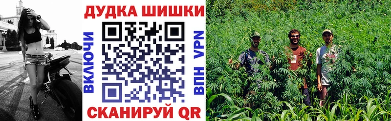 Хочу наркоту Удомля Бошки Шишки Гашиш