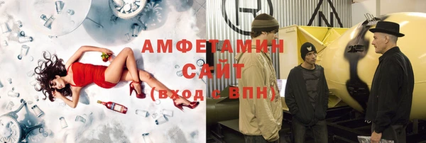 индика Аркадак