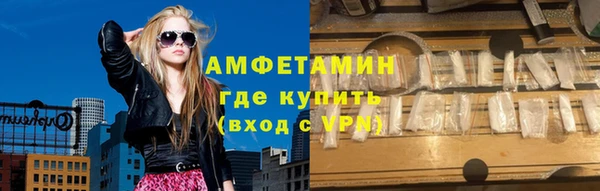 индика Аркадак