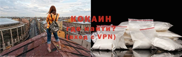 индика Аркадак