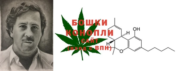 каннабис Арсеньев