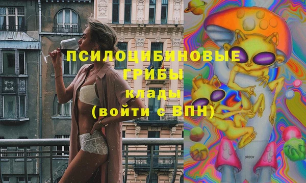индика Аркадак