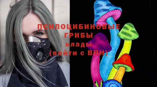 индика Аркадак