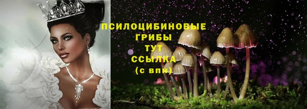 каннабис Арсеньев