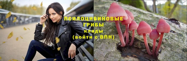 каннабис Арсеньев