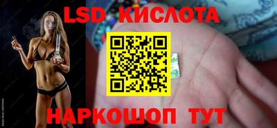 сатива Ставрополь