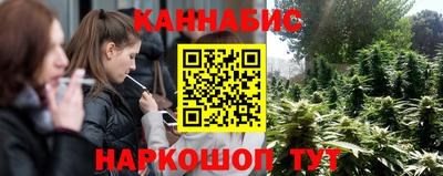 сатива Ставрополь