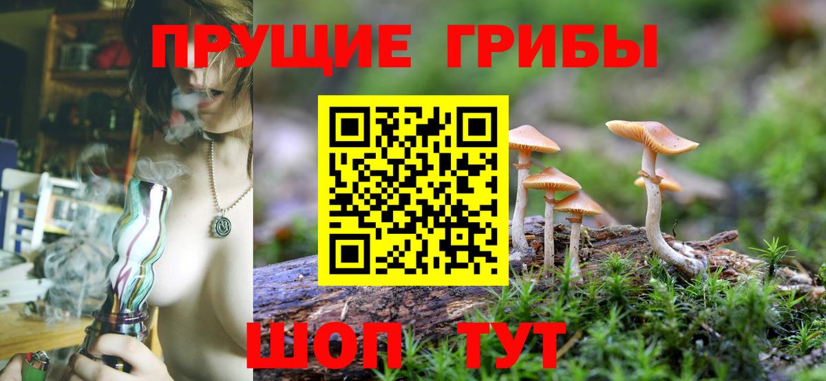 Псилоцибиновые грибы ЛСД Удомля