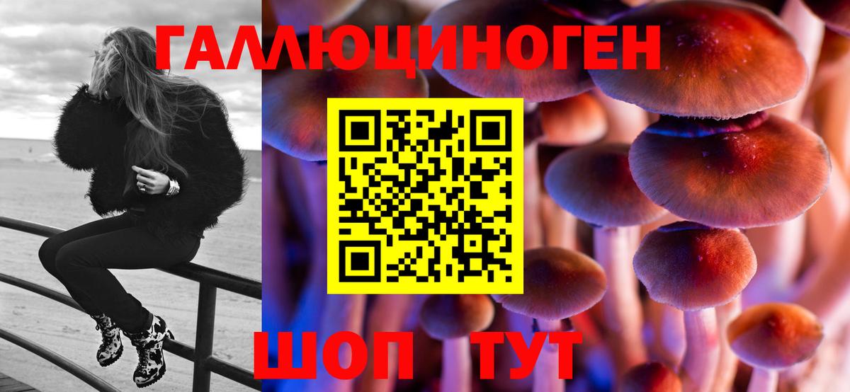 Галлюциногенные грибы прущие грибы  Галлюциногенные грибы мухоморы  Удомля  Вход с VPN 